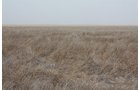 Property photo 34 - Kansas Land Auction - 960 Acres - 7 Farms in 3 Counties